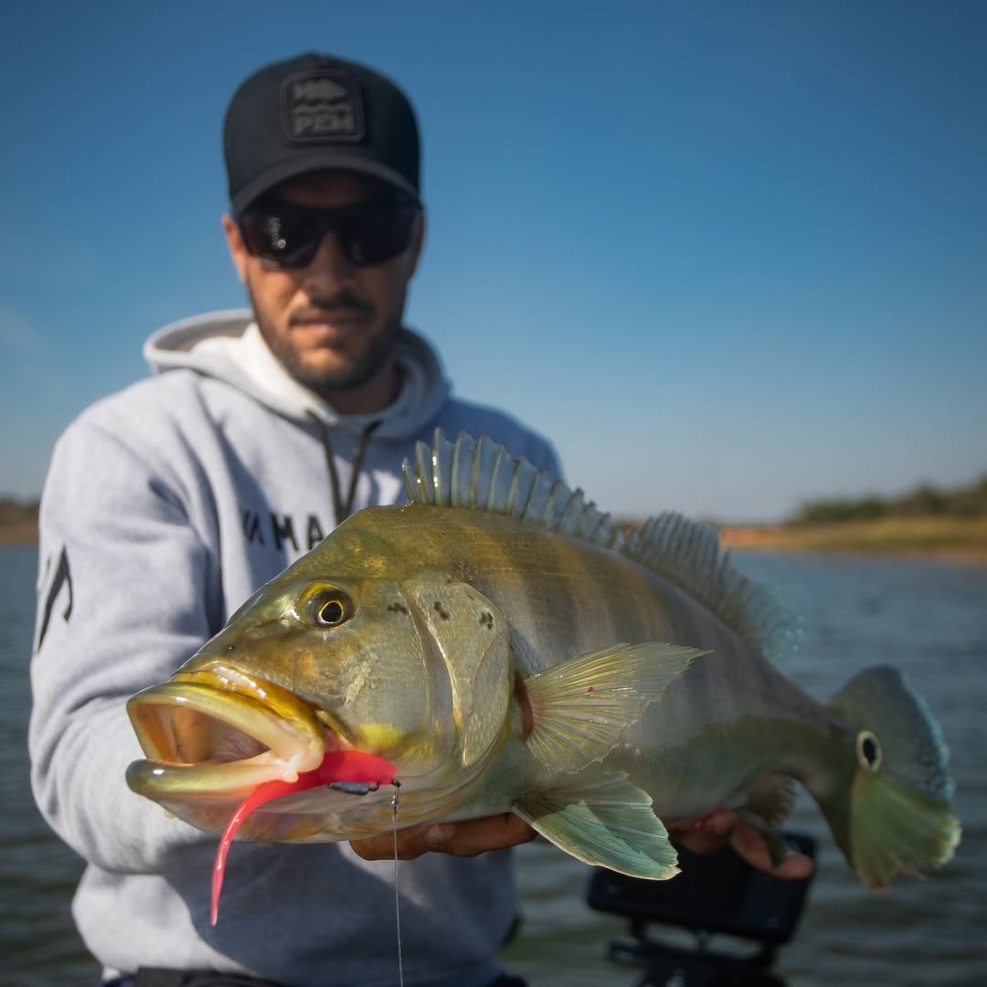 Isca Soft FIT SHAD Lopes - 11 cm / 3 UND - PINK