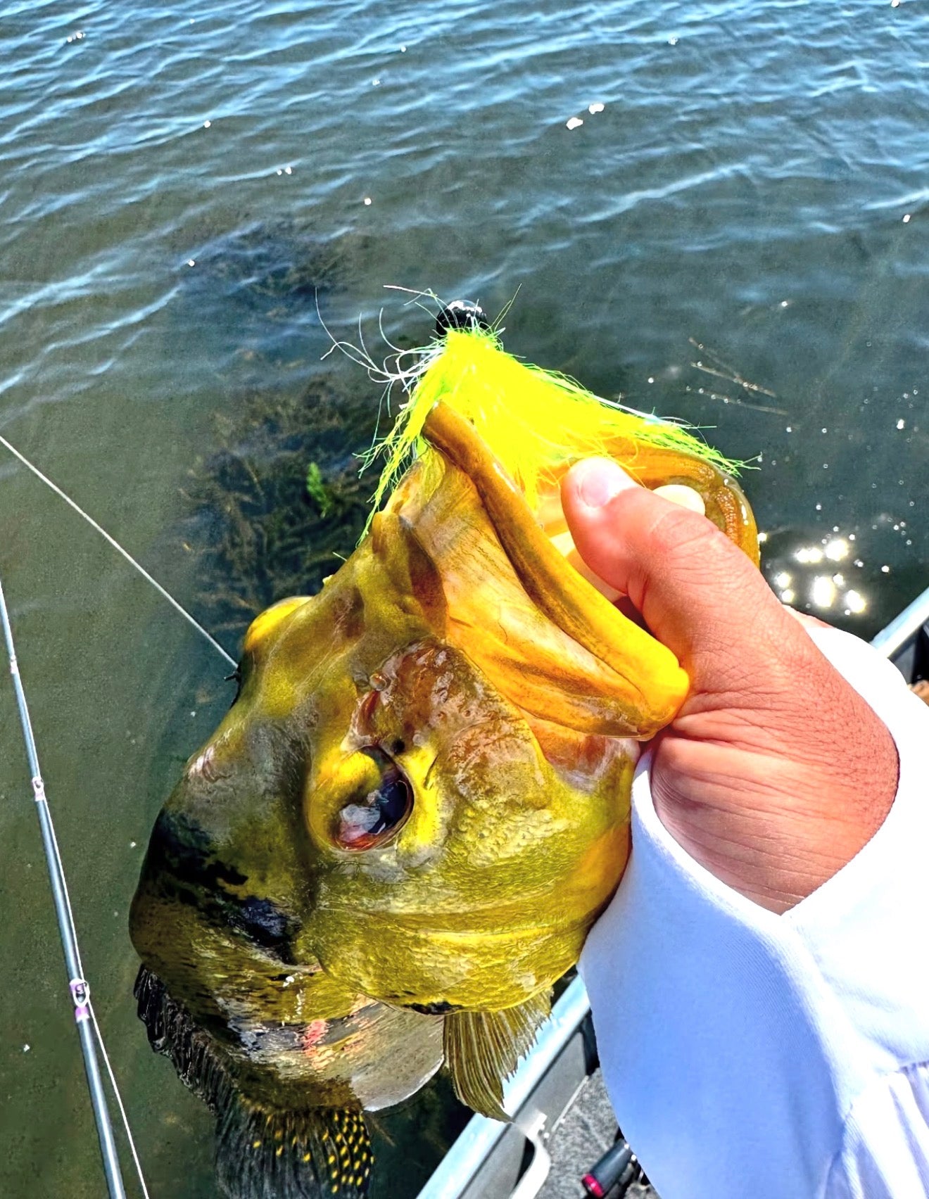 Jig BOLINHA - Peso 12g - AMARELO