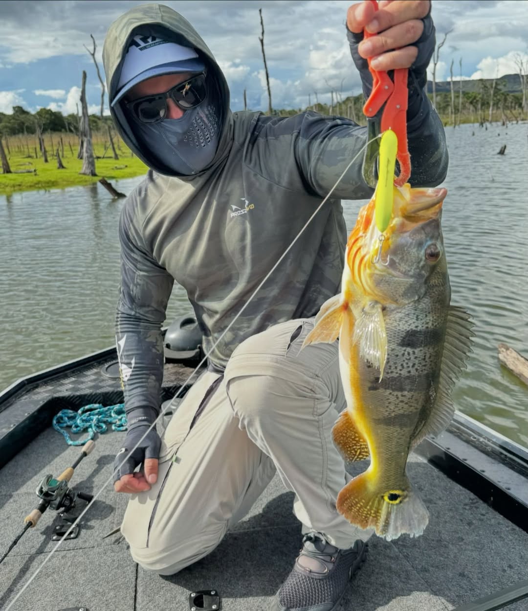 Isca ZIG ZARA Nelson Nakamura - 9cm - OPACA VERDE LIMÃO