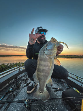 Isca Soft FIT SHAD Lopes - 11 cm / 3 UND - CHÁ