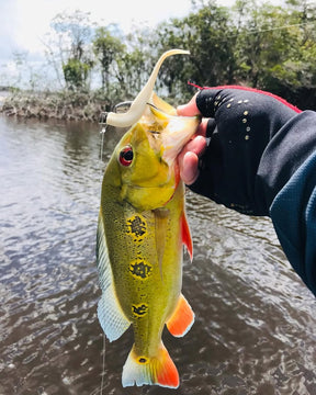 Isca Soft FIT SHAD Lopes - 13 cm / 3 UND - PÉROLA