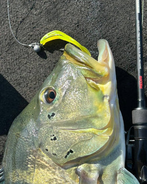 Isca Soft FIT SHAD Lopes - 11 cm / 3 UND - MELLOW