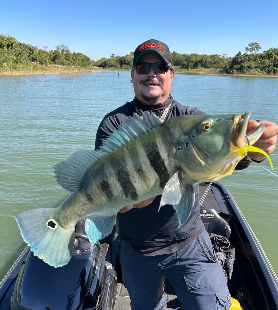 Isca Soft FIT SHAD Lopes - 11 cm / 3 UND - MELLOW