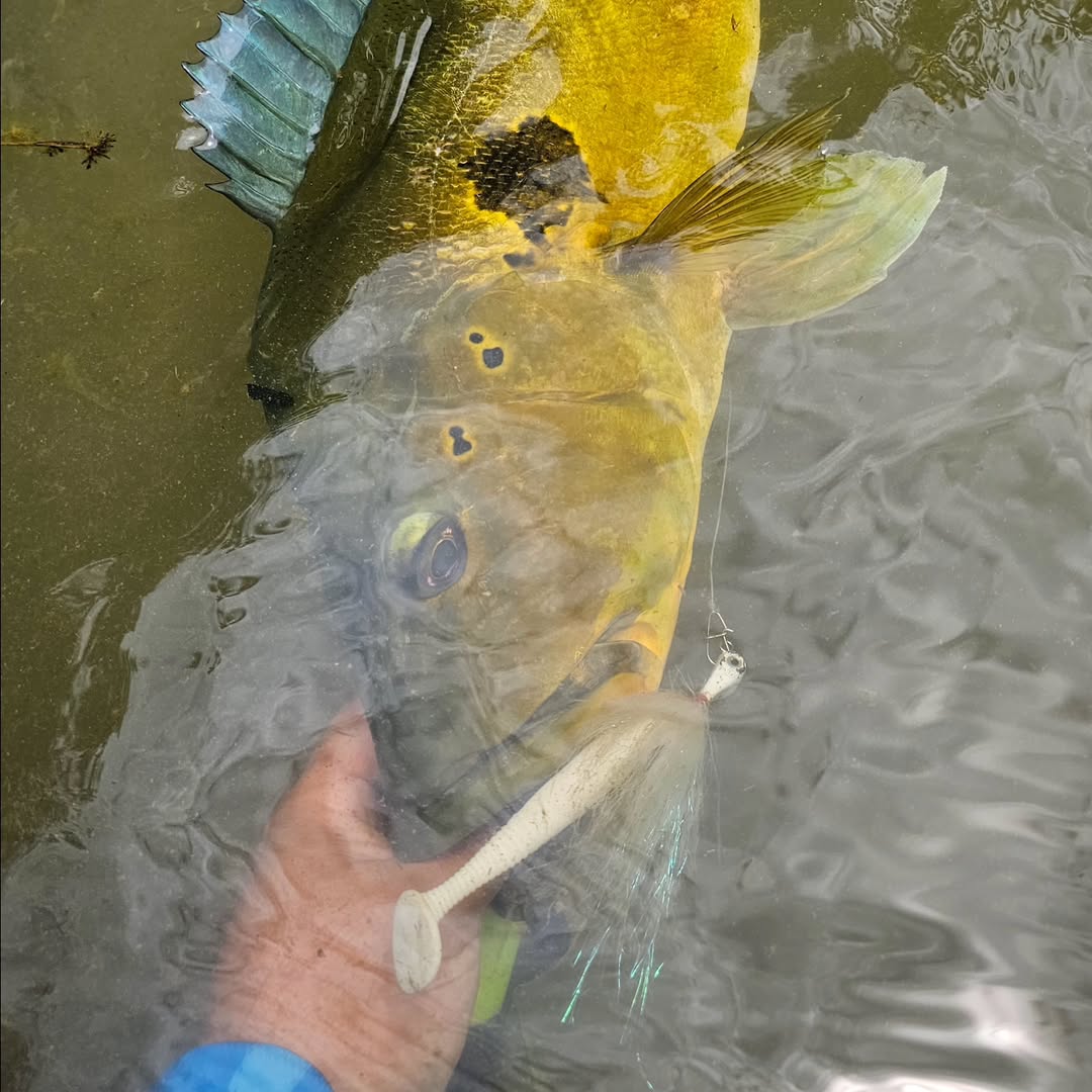 Isca SHAD X-TRAP Lopes - 10 cm / 3 UND - PÉROLA